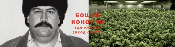 МДПВ Гусев