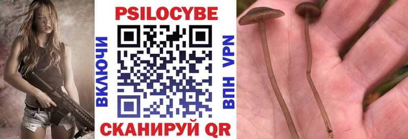 Галлюциногенные грибы мицелий  Купить  Светогорск 